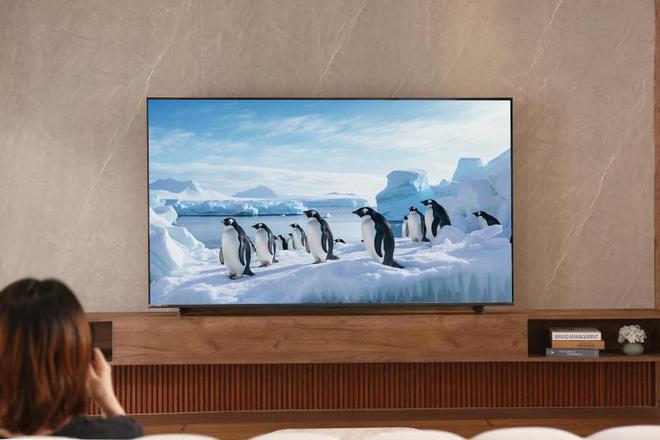视太全面了画质、AI、销量、口碑全都无敌凯发K8旗舰店APP这款国补最值得买的电(图4)