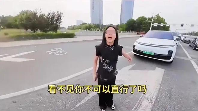 后续：女司机气到流产公布完整行车记录仪k8凯发国际入口河北女司机与骑手冲突(图7)